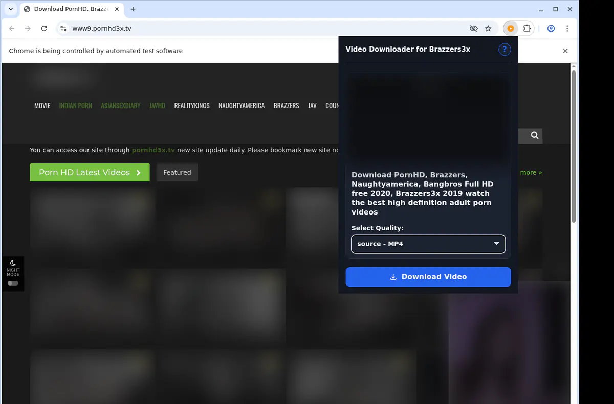 Brazzers3x Video Downloader screenshot 3
