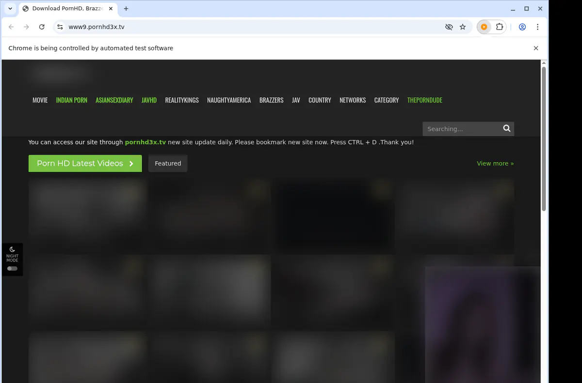 Brazzers3x Video Downloader screenshot 5